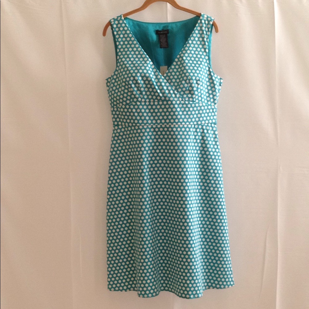 Spense Polka Dot Dress